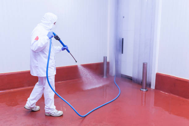 Best Warehouse Cleaning  in Seneca, IL