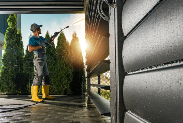 Best Graffiti Removal  in Seneca, IL