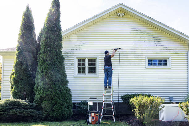 Best Sidewalk and Walkway Cleaning  in Seneca, IL